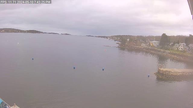 Webcam view of Mahone Bay Civic Marina mooring field